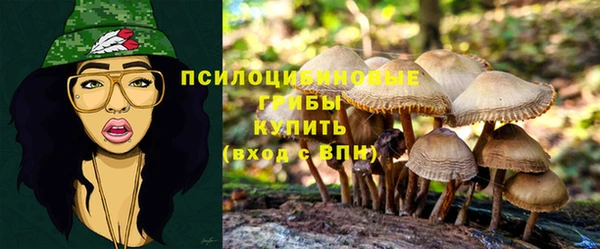 герыч Саяногорск